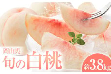 桃　岡山県の旬の白桃 約3.8kg 花田青果株式会社《6月下旬-9月上旬頃出荷予定(土日祝除く)》岡山県 浅口市 白桃 桃 もも 旬 フルーツ 果物【配送不可地域あり】 