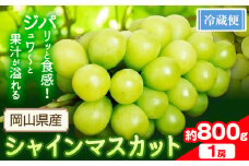 シャインマスカット 800g以上(1房)【配送不可地域あり】 花田青果株式会社《2025年9月上旬-10月末頃出荷》マスカット 送料無料 岡山県 浅口市 シャインマスカット ぶどう フルーツ 果物 贈り物 ギフト