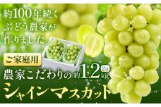 シャインマスカット ご家庭用 農家こだわりの シャインマスカット 2房  約1.2kg 《2025年9月中旬-10月末頃出荷(土日祝除く)》 Nini farm マスカット 送料無料 岡山県 浅口市 フルーツ 果物 贈り物 国産 岡山県産 くだもの 果物 青果物