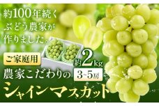 シャインマスカット ご家庭用 農家こだわりの シャインマスカット 3～5房  約2kg 《2025年9月中旬-10月末頃出荷(土日祝除く)》 Nini farm マスカット 送料無料 岡山県 浅口市 フルーツ 果物 贈り物 国産 岡山県産 くだもの 果物 青果物