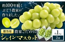 シャインマスカット 贈答用 農家こだわりの シャインマスカット 2房  約1kg 先行予約《2025年9月中旬-10月末頃出荷(土日祝除く)》 Nini farm マスカット 送料無料 岡山県 浅口市 フルーツ 果物 贈り物 国産 岡山県産 くだもの 果物 青果物
