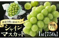 シャインマスカット 農家自慢の最高ランク シャインマスカット 1房 約750g 特秀クラス 先行予約《2025年9月中旬-10月末頃出荷(土日祝除く)》 Nini farm マスカット 送料無料 岡山県 浅口市 フルーツ 果物 贈り物 国産 岡山県産 くだもの 果物 青果物