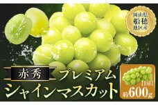 シャインマスカット 赤秀 プレミアム 晴王 600g 1房 ハレノフルーツ(アストライ)【2025年先行予約】《9月上旬-11月中旬頃出荷》岡山県 浅口市 送料無料 フルーツ 果物 マスカット お取り寄せフルーツ【配送不可地域あり】