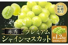 シャインマスカット 赤秀 プレミアム 晴王 1.2kg 2房 ハレノフルーツ(アストライ)【2025年先行予約】《9月上旬-11月中旬頃出荷》岡山県 浅口市 送料無料 フルーツ 果物 マスカット お取り寄せフルーツ【配送不可地域あり】