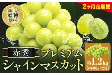 【2ヶ月定期便】ぶどう シャインマスカット 赤秀 プレミアム 晴王 1.2g 2房 ハレノフルーツ(アストライ)《2025年9月上旬-10月末頃出荷》岡山県 浅口市 送料無料 フルーツ 果物 マスカット お取り寄せフルーツ【配送不可地域あり】 st-p