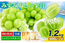 【2025年先行予約受付】ぶどう シャインマスカット 晴王 1.2kg 2房 岡山県産《2025年7月上旬-9月中旬頃出荷》 ハレノフルーツ マスカット 送料無料 岡山県 浅口市 フルーツ 果物 国産 岡山県産 くだもの 青果物【配送不可地域あり】