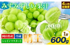 【2026年先行予約】ぶどう 4ヶ月 定期便 シャインマスカット 晴王 600g 岡山県産《2026年7月上旬-10月末頃出荷》 ハレノフルーツ マスカット 送料無料 岡山県 浅口市 フルーツ 果物 国産 岡山県産【配送不可地域あり】 