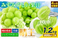 【2026年先行予約】ぶどう 4ヶ月 定期便 シャインマスカット 晴王 1.2kg 2房 岡山県産《2026年7月上旬-10月末頃出荷》 ハレノフルーツ マスカット 送料無料 岡山県 浅口市 フルーツ 果物 国産 岡山県産【配送不可地域あり】 