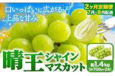 【2ヶ月定期便】ぶどう シャインマスカット 晴王 1.4kg 2房 ハレノフルーツ(アストライ)《7月上旬-8月末頃出荷》岡山県 浅口市 送料無料 フルーツ 果物 マスカット お取り寄せフルーツ【配送不可地域あり】 st-p