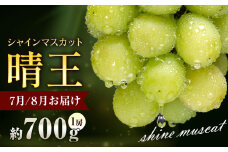 ぶどう シャインマスカット 晴王 700g 1房 彩美菜果《7月上旬-9月中旬頃出荷》 マスカット 送料無料 岡山県 浅口市 フルーツ 果物 贈り物 国産 岡山県産 くだもの 果物 青果物 7月～8月発送 【配送不可地域あり】 st-p