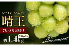 ぶどう シャインマスカット 晴王 1.4kg 2房 彩美菜果《2025年7月上旬-9月中旬頃出荷》 マスカット 送料無料 岡山県 浅口市 フルーツ 果物 贈り物 国産 岡山県産 くだもの 果物 青果物 7月～8月発送 【配送不可地域あり】 st-p