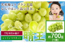 【先行予約】シャインマスカット 晴王 700g ハレノフルーツ(アストライ)《2025年7月上旬-9月中旬頃出荷》岡山県 浅口市 送料無料 フルーツ 果物 マスカット お取り寄せフルーツ【配送不可地域あり】 st-p