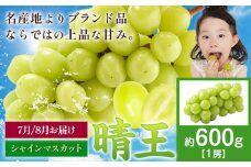 【先行予約】ぶどう シャインマスカット 晴王 600g　マスカット岡山《2025年7月上旬-9月中旬頃出荷》岡山県 浅口市 送料無料 フルーツ 果物 マスカット お取り寄せフルーツ【配送不可地域あり】 st-p