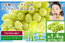 【先行予約】シャインマスカット 晴王 1.4kg マスカット岡山《2025年7月上旬-9月中旬頃出荷》岡山県 浅口市 送料無料 フルーツ 果物 マスカット お取り寄せフルーツ【配送不可地域あり】 st-p