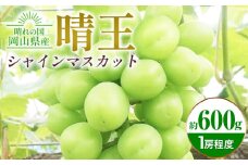 シャインマスカット晴王 約600g 1房程度 橋田商店有限会社《2025年9月中旬-11月中旬頃出荷》 岡山県 浅口市 岡山県産 ぶどう フルーツ 果物 くだもの マスカット 送料無料【配送不可地域あり】
