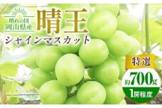 シャインマスカット晴王 約700g 特選 1房程度 橋田商店有限会社《2025年9月中旬-11月中旬頃出荷》 岡山県 浅口市 岡山県産 ぶどう フルーツ 果物 くだもの マスカット 送料無料【配送不可地域あり】