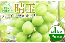 シャインマスカット晴王 約1kg 2房程度 橋田商店有限会社 先行予約《2025年9月中旬-11月中旬頃出荷》 岡山県 浅口市 岡山県産 ぶどう フルーツ 果物 くだもの マスカット 送料無料【配送不可地域あり】