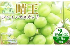 シャインマスカット晴王 約2kg 2～5房程度 橋田商店有限会社《2025年9月中旬-11月中旬頃出荷》 岡山県 浅口市 岡山県産 ぶどう フルーツ 果物 くだもの マスカット 送料無料【配送不可地域あり】