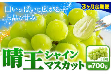 【3ヶ月定期便】ぶどう シャインマスカット 晴王 700g 1房 ハレノフルーツ(アストライ)《2025年7月上旬-9月末頃出荷》岡山県 浅口市 送料無料 フルーツ 果物 マスカット お取り寄せフルーツ【配送不可地域あり】 st-p