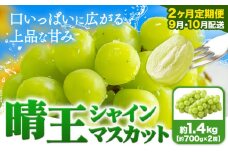 シャインマスカット晴王 シャインマスカット定期便【2ヶ月定期便】ぶどう シャインマスカット 晴王 1.4kg 2房 ハレノフルーツ(アストライ)《9月上旬-10月末頃出荷》岡山県 浅口市 送料無料 フルーツ 果物 マスカット お取り寄せフルーツ【配送不可地域あり】 st-p