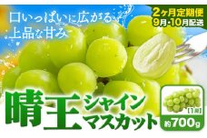 シャインマスカット 晴王 定期便シャインマスカット【2ヶ月定期便】ぶどう シャインマスカット 晴王 700g 1房 ハレノフルーツ(アストライ)《9月上旬-10月末頃出荷》岡山県 浅口市 送料無料 フルーツ 果物 マスカット お取り寄せフルーツ【配送不可地域あり】
