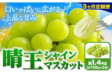 【3ヶ月定期便】ぶどう シャインマスカット 晴王 1.4kg 2房 ハレノフルーツ(アストライ)《7月上旬-9月末頃出荷》岡山県 浅口市 送料無料 フルーツ 果物 マスカット お取り寄せフルーツ【配送不可地域あり】