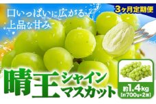 【3ヶ月定期便】ぶどう シャインマスカット 晴王 1.4kg 2房 マスカット岡山《7月上旬-9月末頃出荷》岡山県 浅口市 送料無料 フルーツ 果物 マスカット お取り寄せフルーツ【配送不可地域あり】