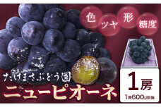 ぶどう ニューピオーネ 1房(約600g前後) たけまさぶどう園 《7月中旬-10月上旬頃出荷》岡山県 浅口市 送料無料 フルーツ 果物 岡山県産 青果物 お取り寄せフルーツ【配送不可地域あり】(離島)