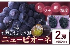 ぶどう ニューピオーネ 2房(1房650g前後) たけまさぶどう園 《7月中旬-10月上旬頃出荷》岡山県 浅口市 送料無料 フルーツ 果物 岡山県産 青果物 お取り寄せフルーツ【配送不可地域あり】(離島)