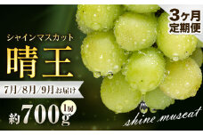 ぶどう シャインマスカット 晴王 700g 1房 3ヶ月定期便 彩美菜果《7月上旬-9月末頃出荷》 マスカット 送料無料 岡山県 浅口市 フルーツ 果物 贈り物 国産 岡山県産 くだもの 果物 7月 8月 9月発送 【配送不可地域あり】