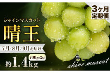 ぶどう シャインマスカット 晴王 1.4kg 2房 3ヶ月定期便 彩美菜果《7月上旬-9月末頃出荷》 マスカット 送料無料 岡山県 浅口市 フルーツ 果物 贈り物 国産 岡山県産 くだもの 果物 7月 8月 9月発送 【配送不可地域あり】