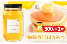 はちみつ 蜂蜜 百花 300g 1本 かもがた養蜂 《30日以内に出荷予定(土日祝除く)》 岡山県 浅口市 送料無料 ハチミツ 百花蜜 百花はちみつ 岡山県産