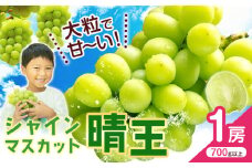 シャインマスカット【晴王】 岡山県産 1房(700g以上)【先行予約】 株式会社Myself《2025年9月上旬-11月上旬頃出荷》マスカット 送料無料 岡山県 浅口市 ぶどう フルーツ 果物 贈り物 ギフト