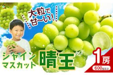 シャインマスカット【晴王】 岡山県産 1房(600g以上)【先行予約】 株式会社Myself《2025年9月上旬-11月上旬頃出荷》マスカット 送料無料 岡山県 浅口市 ぶどう フルーツ 果物 贈り物 ギフト