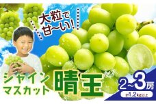 シャインマスカット【晴王】 岡山県産 2〜3房(計1.2kg以上)【先行予約】 株式会社Myself《2025年9月上旬-11月上旬頃出荷》マスカット 送料無料 岡山県 浅口市 ぶどう フルーツ 果物 贈り物 ギフト