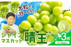 シャインマスカット【晴王】 岡山県産 2〜3房(計1.5kg以上)【先行予約】 株式会社Myself《2025年9月上旬-11月上旬頃出荷》マスカット 送料無料 岡山県 浅口市 ぶどう フルーツ 果物 贈り物 ギフト
