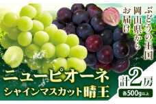 シャインマスカット【晴王】 & ニューピオーネ 500g以上(各1房)【先行予約】 株式会社Myself《2025年9月上旬-11月上旬頃出荷》マスカット 送料無料 岡山県 浅口市 ぶどう フルーツ 果物 贈り物 ギフト