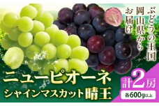 シャインマスカット【晴王】 & ニューピオーネ 600g以上(各1房) 【先行予約】 株式会社Myself《2025年9月上旬-11月上旬頃出荷》マスカット 送料無料 岡山県 浅口市 ぶどう フルーツ 果物 贈り物 ギフト
