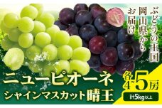 シャインマスカット【晴王】 & ニューピオーネ 計5kg以上(各4~5房) 【先行予約】 株式会社Myself《2025年9月上旬-11月上旬頃出荷》マスカット 送料無料 岡山県 浅口市 ぶどう フルーツ 果物 贈り物 ギフト