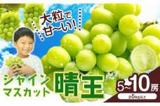 シャインマスカット【晴王】 岡山県産 5〜10房(計5kg以上)【先行予約】 株式会社Myself《2025年9月上旬-11月上旬頃出荷》マスカット 送料無料 岡山県 浅口市 ぶどう フルーツ 果物 贈り物 ギフト