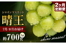ぶどう シャインマスカット 晴王 700g 1房 2ヶ月定期便 彩美菜果《7月上旬-8月末頃出荷》 マスカット 送料無料 岡山県 浅口市 フルーツ 果物 贈り物 国産 岡山県産 くだもの 果物 7月 8月発送 【配送不可地域あり】