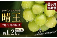 ぶどう シャインマスカット 晴王 1.2kg 2房 2ヶ月定期便 彩美菜果《7月上旬-8月末頃出荷》 マスカット 送料無料 岡山県 浅口市 フルーツ 果物 贈り物 国産 岡山県産 くだもの 果物 7月 8月発送 【配送不可地域あり】