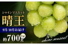 ぶどう シャインマスカット 晴王 700g 1房 彩美菜果《9月上旬-11月中旬頃出荷》 マスカット 送料無料 岡山県 浅口市 フルーツ 果物 贈り物 国産 岡山県産 くだもの 果物 青果物 9月～10月発送 【配送不可地域あり】