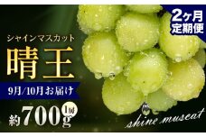 ぶどう シャインマスカット 晴王 700g 1房 2ヶ月定期便 彩美菜果《9月上旬-10月末頃出荷》 マスカット 送料無料 岡山県 浅口市 フルーツ 果物 贈り物 国産 岡山県産 くだもの 果物 9月 10月発送 【配送不可地域あり】