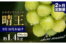 ぶどう シャインマスカット 晴王 1.4kg 2房 2ヶ月定期便 彩美菜果《9月上旬-10月末頃出荷》 マスカット 送料無料 岡山県 浅口市 フルーツ 果物 贈り物 国産 岡山県産 くだもの 果物 9月 10月発送 【配送不可地域あり】