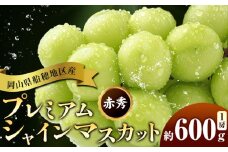 ぶどう 岡山県船穂地区産 プレミアム シャインマスカット 晴王 赤秀 600g 1房 彩美菜果《9月上旬-11月中旬頃出荷》 マスカット 岡山県 浅口市 フルーツ 果物 贈り物 国産 くだもの 9月10月 発送　【配送不可地域あり】
