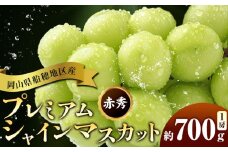 ぶどう 岡山県船穂地区産 プレミアム シャインマスカット 晴王 赤秀 700g 1房 彩美菜果《9月上旬-11月中旬頃出荷》 マスカット 岡山県 浅口市 フルーツ 果物 贈り物 国産 くだもの 9月10月 発送　【配送不可地域あり】