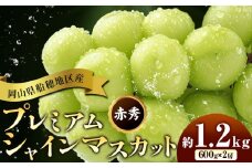 ぶどう 岡山県船穂地区産 プレミアム シャインマスカット 晴王 赤秀 1.2kg 2房 彩美菜果《9月上旬-11月中旬頃出荷》 マスカット 岡山県 浅口市 フルーツ 果物 贈り物 国産 くだもの 9月10月 発送　【配送不可地域あり】