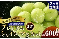 ぶどう 岡山県船穂地区産 プレミアム シャインマスカット 晴王 赤秀 600g 1房 2ヶ月定期便 彩美菜果《9月上旬-10月末頃出荷》 マスカット 岡山県 浅口市 フルーツ 果物 贈り物 国産 くだもの 【配送不可地域あり】