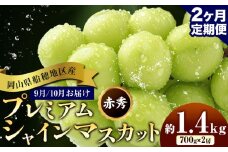 ぶどう 岡山県船穂地区産 プレミアム シャインマスカット 晴王 赤秀 1.4kg 2房 2ヶ月定期便 彩美菜果《9月上旬-10月末頃出荷》 マスカット 岡山県 浅口市 フルーツ 果物 贈り物 国産 くだもの 【配送不可地域あり】